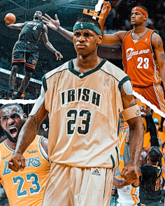 F1实时积分榜：诺里斯领先皮亚斯特里22分，领先维斯塔潘25分（F1最新积分：诺里斯以22分优势压过皮亚斯特里，对维斯塔潘领先25分）